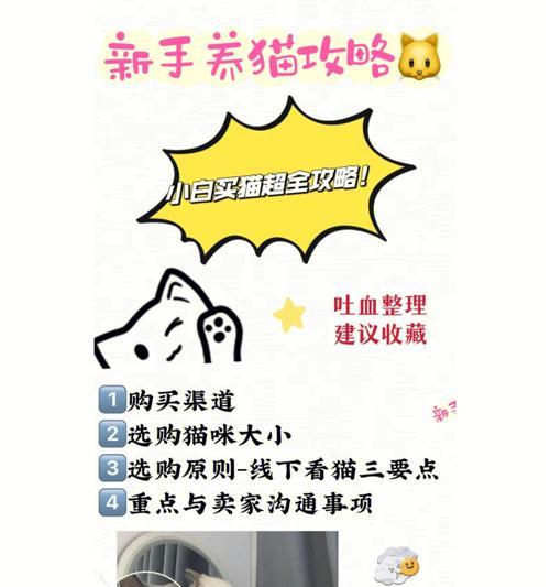 探秘猫之城灵棰惊竹（一款奇妙的宠物养成游戏）