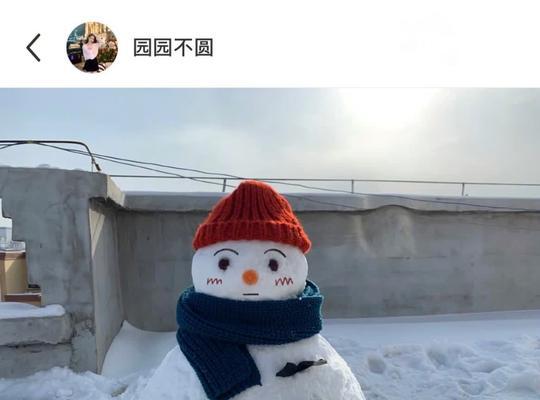 《明日之后》雪人大赛攻略（雪人大赛如何参加及获胜技巧）