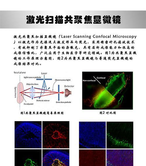 翼星求生（探索未知星球）