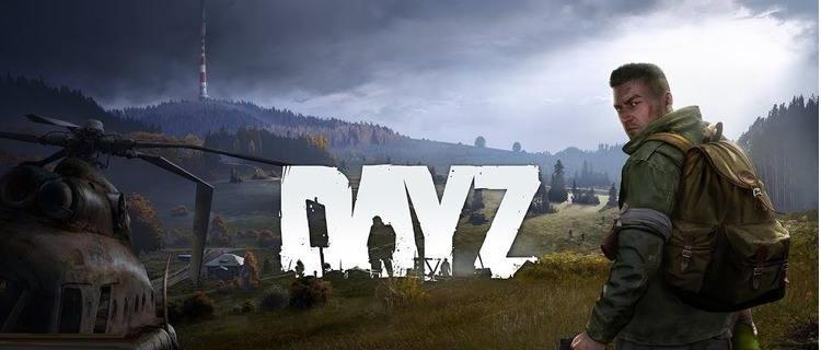 DayZ（探索DayZ世界中的自我决断及其影响力）